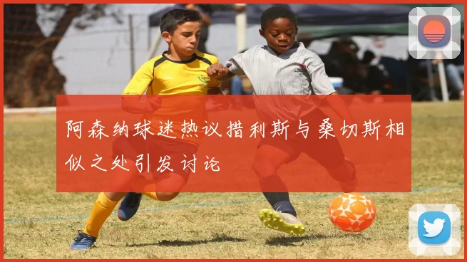 阿森纳球迷热议措利斯与桑切斯相似之处引发讨论