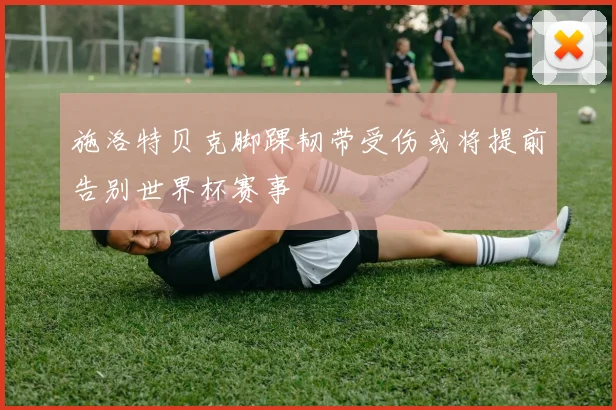 施洛特贝克脚踝韧带受伤或将提前告别世界杯赛事