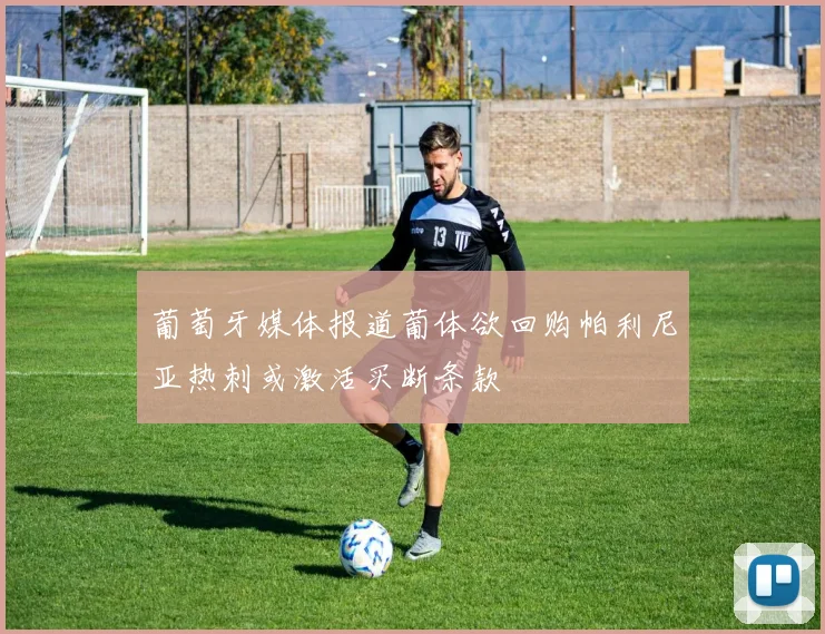 葡萄牙媒体报道葡体欲回购帕利尼亚热刺或激活买断条款