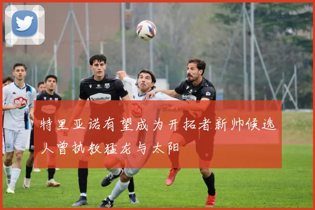 特里亚诺有望成为开拓者新帅候选人曾执教猛龙与太阳