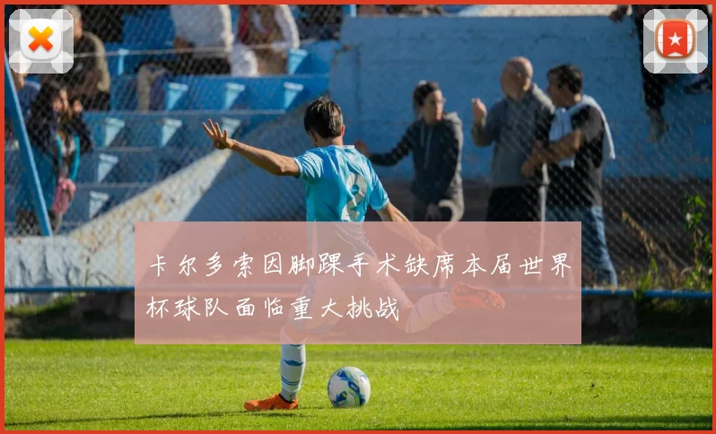 卡尔多索因脚踝手术缺席本届世界杯球队面临重大挑战